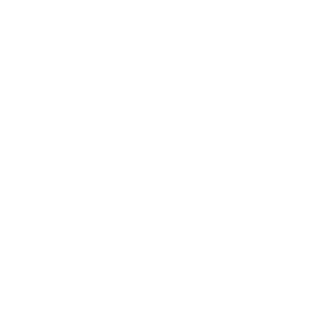 Barthem Jiu Jitsu logo